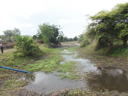 The weir at the beginning of the klong will be raised to raise the level of the water in the reservoir to provide more water for the klong.  The klong will be deepened.